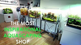 Is this the BEST AQUASCAPING shop in THE WORLD [upl. by Ylsew638]