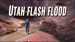 Flash Floods in May Halls Creek Narrows Utah [upl. by Happ]