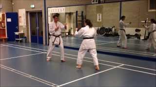 Pinan Shodan Shitoryu amp Bunkai kumite [upl. by Adnilahs]