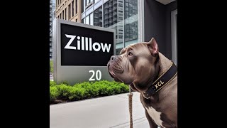 Zillows MASSIVE losses [upl. by Assillem]