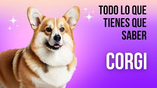 CORGI 🐕⭐ Todo lo que NECESITAS saber sobre él Historia Personalidad y Cuidados 2023 [upl. by Yazbak]