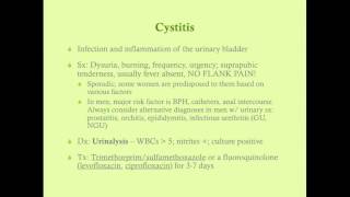 Renal Infections and UTI  CRASH Medical Review Series [upl. by Analaj668]