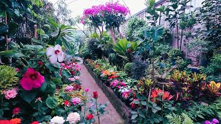 Un paseo por el mercado de plantas y flores en Viveros Coyoacán Ciudad de México 🇲🇽 [upl. by Kcirreg]