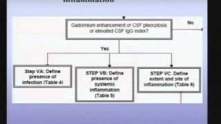 Transverse Myelitis Clinical and Immunologic Considerations [upl. by Wesa]