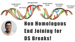 Double stranded break repair  Non homologous end joining explained [upl. by Ericksen296]