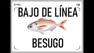 COMO PESCAR BESUGOS A SURFCASTING ¡PREPÁRATE TU PROPIO BAJOAPAREJO DE PESCA [upl. by Tratner]