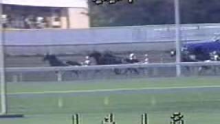 1985 Hambletonian  Prakas [upl. by Ellerrad]