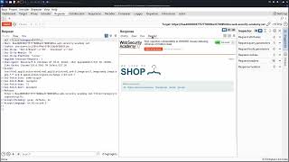 Evaluating inputs with Burp Suite [upl. by Vowel378]