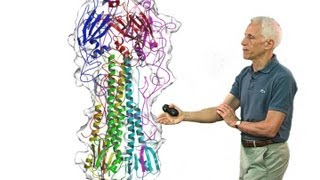 Stephen Harrison Harvard Part 2 Viral membrane fusion [upl. by Ahsiuqet]