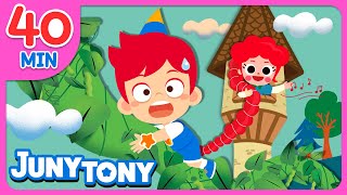 Story Musical Reading Compilation  Bedtime Stories  40 minute  Fairy Tales for Kids  JunyTony [upl. by Neal295]