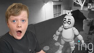 We caught Chica on our Security Camera Fazbear Nights is the Scariest FNAF EVER [upl. by Aldredge748]