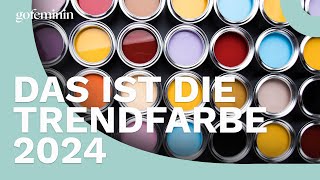 Laut Pantone Das ist die Trendfarbe 2024 [upl. by Nipahc280]