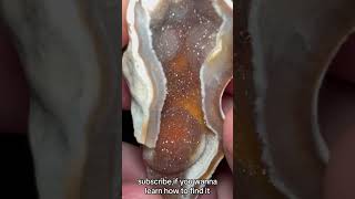 An Agatized Coral GeodeFossil I found in Floridarockhounding geology agate agatedad shorts [upl. by Gnel]