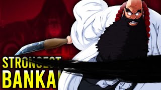 The Most POWERFUL Bankai RANKED and EXPLAINED [upl. by Otsedom]