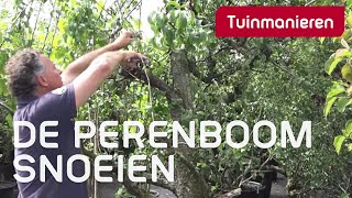 De perenboom snoeien hoe doe je dat  Tuinmanieren [upl. by Simonette]