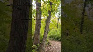 Meaner Bean trailer camping at Devils Lake Baraboo Wisconsin [upl. by Virnelli]