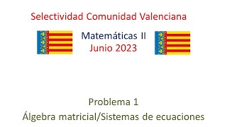 🧑‍🎓MATEMÁTICAS CCSS JULIO 2023 PROBLEMA 1 👀 Examen Selectividad PAU💡Comunidad Valenciana [upl. by Jo-Anne]