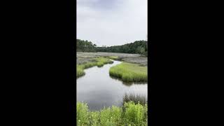 Mill Creek Carteret County North Carolina 05 Jul 23 [upl. by Derek]