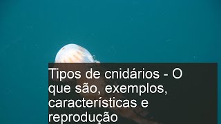 Tipos de CNIDÁRIOS  O que são exemplos características e reprodução [upl. by Yale285]