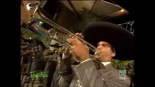 Mariachi Mencey Azteca  Me gustas mucho  Tenderete [upl. by Anidam]