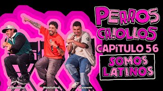 PERROS CRIOLLOS  SOMOS LATINOS CAP 56 [upl. by Oht]