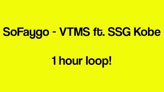 SoFaygo  VTMS ft SSG Kobe 1 hour loop [upl. by Thurman447]