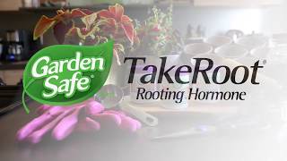 Garden Safe Brand TakeRoot [upl. by Aeneg]