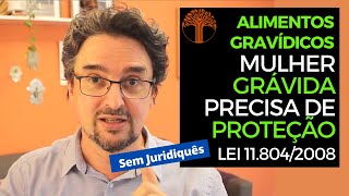 Alimentos Gravídicos 2024  como funciona na prática a lei 118042008 [upl. by Enajiram]