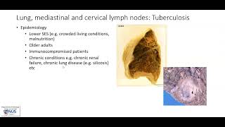 Lung mediastinal and cervical lymph nodes Tuberculosis TB Gross pathology [upl. by Shing]