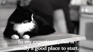 Henri  quotOn Cat Food Boredomquot Part 1 of 4 [upl. by Hodge552]