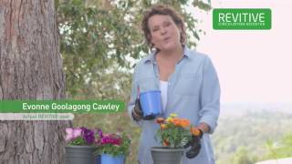 REVITIVE Circulation Booster feat Evonne Goolagong Cawley TV Commercial 2016 [upl. by Ecyned365]