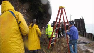 Hoisting Mitena 12 Meter Treasure finalwmv [upl. by Nylesor]