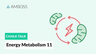 Energy Metabolism  Part 11 Regulation of Gluconeogenesis [upl. by Rebmetpes]