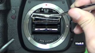 How to remove dust inside finder Canon 5DMarkⅡ [upl. by Mide382]