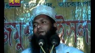 Maulana Mohammad Aminul Islam Islami Alochona [upl. by Aihsened]