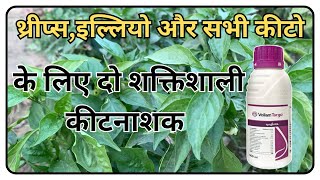 थ्रीप्स इल्लियो और सभी कीटो के लिए दो शक्तिशाली कीटनाशक  Mirchi top 5 Thrips control insecticide [upl. by Cullan]