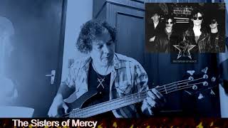 The Sisters of Mercy  Lucretia My Reflection Bass Beginner [upl. by Illom259]