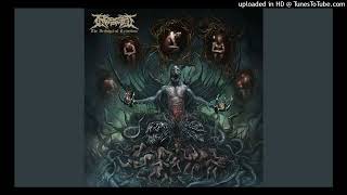 Ingested  I Despoiler 432 Hz [upl. by Allwein111]