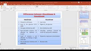 Differences between Glucokinase amp Hexokinase [upl. by Eralcyram]