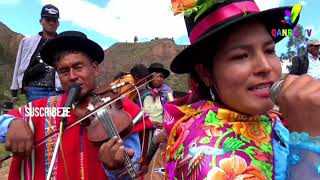 TORIL CON LOBITO DE CARHUANCA  VILCASHUAMAN AYACUCHO COSTUMBRES DEL PERU 2021 [upl. by Kellda]