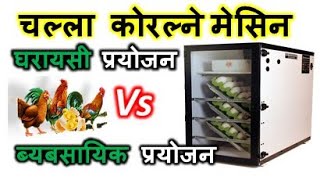 कुन Incubator किन्ने homeuse vs commercial use abiram 9849760686 [upl. by Stillmann204]