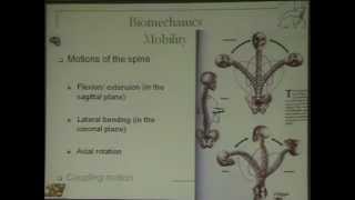 Biomechanics of the spine amp fixation techniques  Prof Ihab Emran P2 [upl. by Esikram]