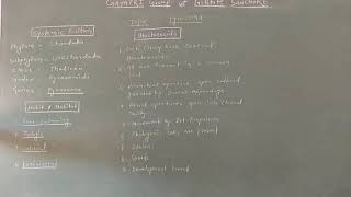 M Sc Zoology Pyrosoma Life cycle [upl. by Yerffe]