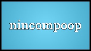 Nincompoop Meaning [upl. by Yerhcaz]