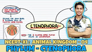 Animal Kingdom Lec 4 Phylum Ctenophora Class 11 NEET Neetology [upl. by Ledniahs423]