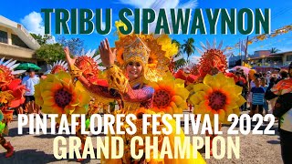 Pintaflores Festival 2022 Grand Champion Tribu Lumad Sipawaynon Streetdance Performance [upl. by Nele]