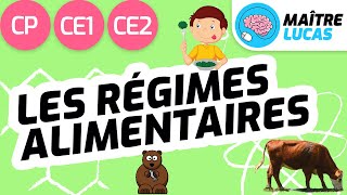 Les régimes alimentaires CE1  CP  CE2  Cycle 2  Questionner le monde  Le monde du vivant [upl. by Terzas]