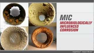 Microbiologically Influenced Corrosion Introduction Module [upl. by Wiles525]