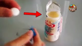 ►Los SECRETOS De YAKULT  ¿Yakult  Pastilla efervescente [upl. by Tirb]