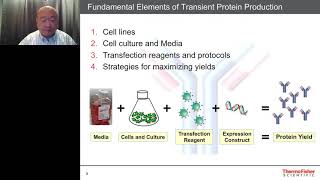 Basic Concepts in Transient Expression using 293 and CHO cells [upl. by Park]